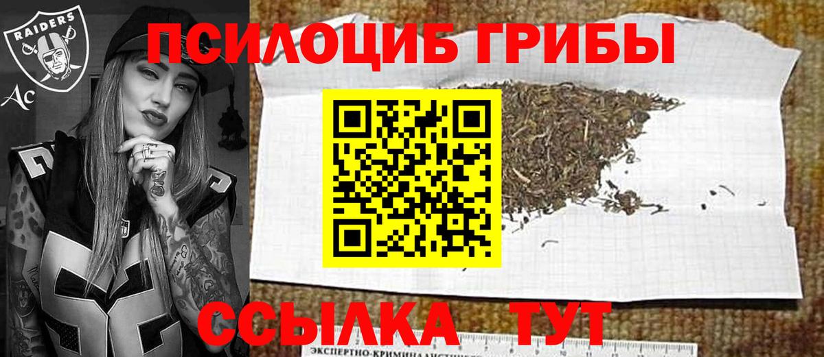 Галлюциногенные грибы GOLDEN TEACHER  Галлюциногенные грибы Magic Shrooms  Кунгур  Вход с VPN 