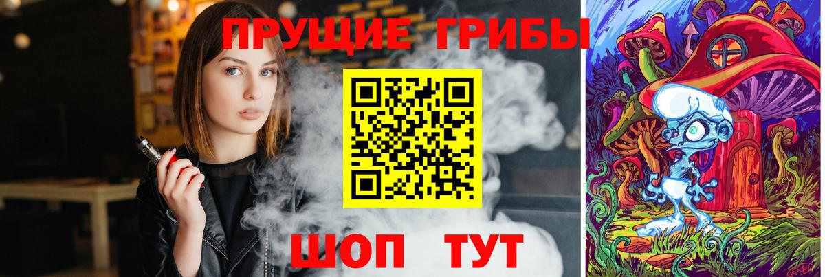 Псилоцибиновые грибы Psilocybine cubensis Кунгур
